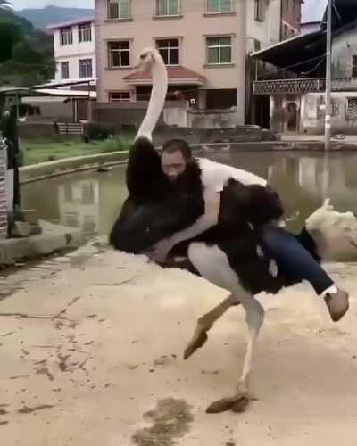 Well he got pretty far