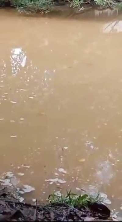least dangerous river in asia