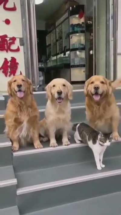 When your buddy doesn't want to go out because he's having a bad day