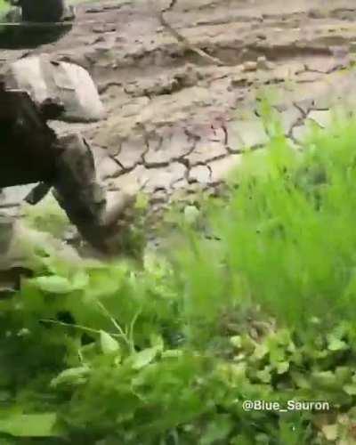 Footage of British and American volunteers in Ukraine striking a Russian BTR