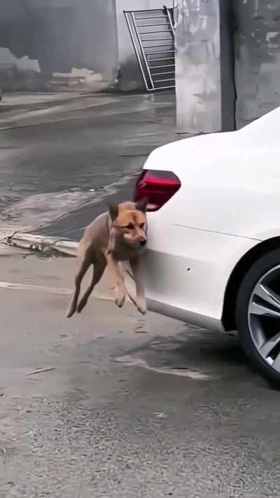 He is very talented, I need him on my team!