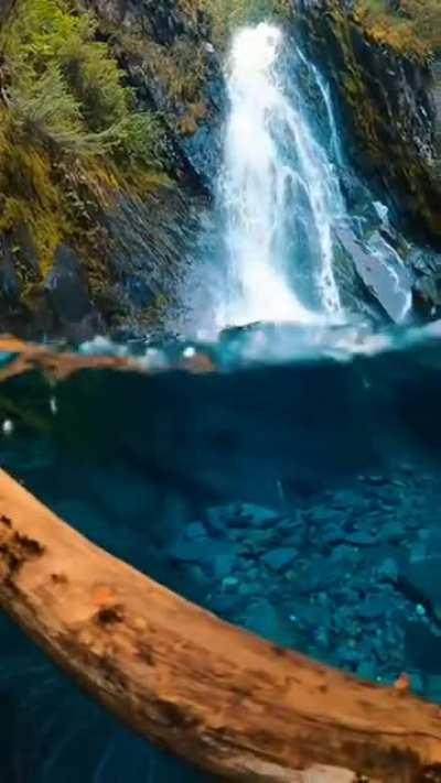 The clarity of water in this Alaskan river