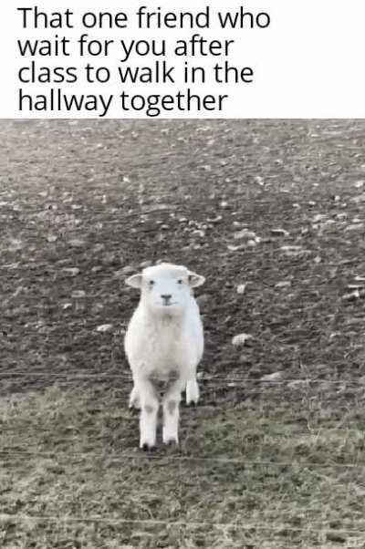 Respect to that friendship