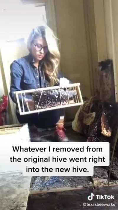 That's a nice bit of beezness