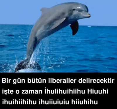 abi serbest piihuihuluihu ihuhiiluhu