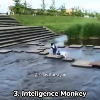 Top 10 estados del Chat