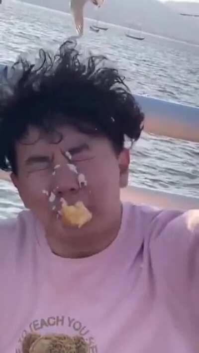 To kiss a bird in desperation