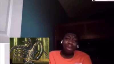 mfw Elden Beast theme hits