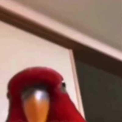 Rockstar and Take Two looking at all GTA 6 leaks by the person who hacked Uber