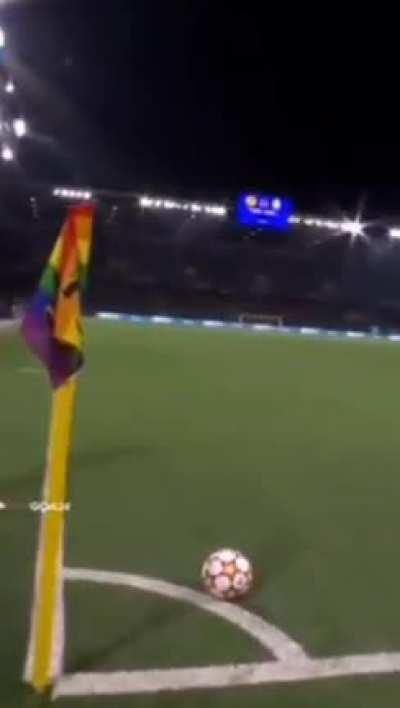 2 Genders + 31 type of gays