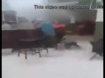 ihaveihave: cute men