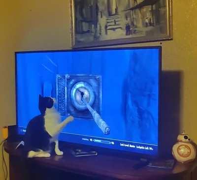 My cat enjoys skyrim too!