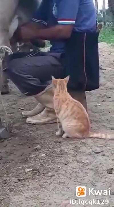 He said don’t worry I gotchu