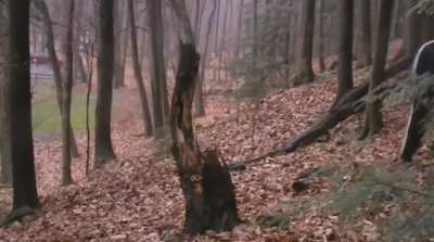 IW.. you have the power to stop this