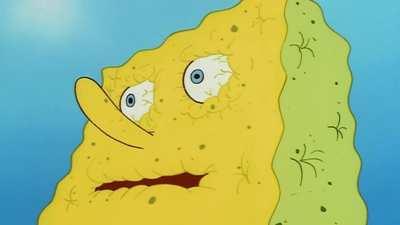 FPL managers trying to build a draft without Salah