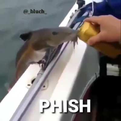 Fim de semana chegano to como