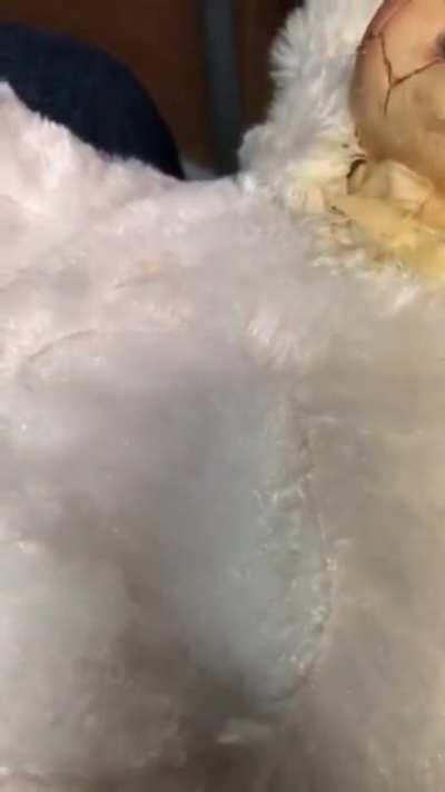 Marzia... don’t check WatsApp...please