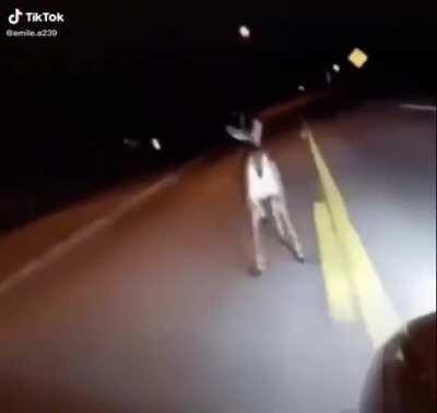 Perfectly cut stupidity