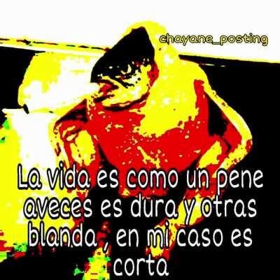 Tema : My Way - Frank Sinatra 🦘