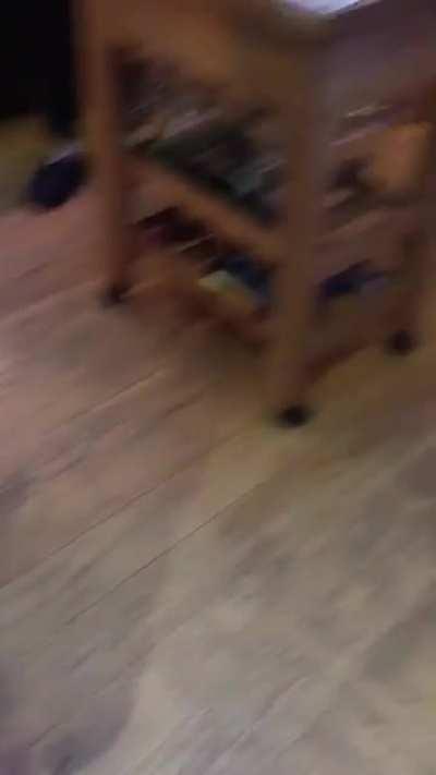 Someone does not like my slippers 🙁