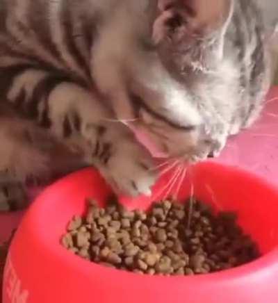 Ложку не дали