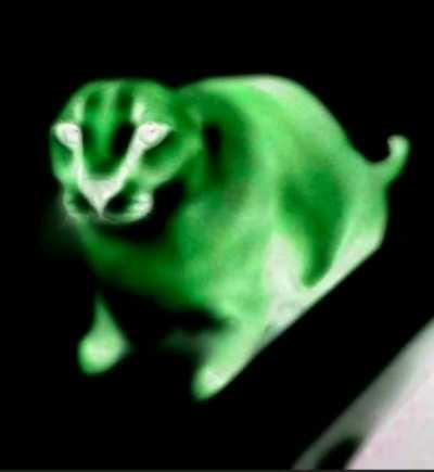 Glow in the dark Floppa