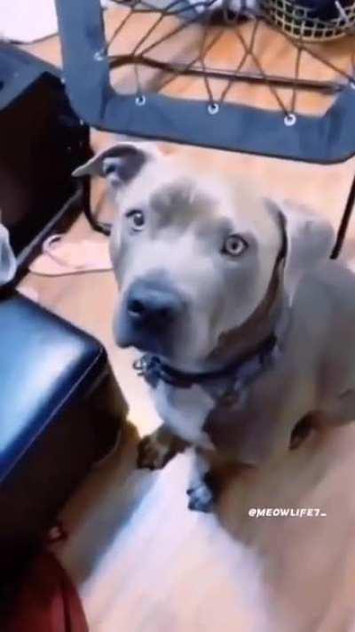 Unusual compilation part 419