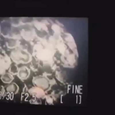 Classic jinxedit, damn I wish that guy was still around