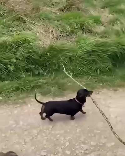 The self confidence 😂