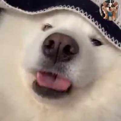 Smells like chicken but taste like vegetables.