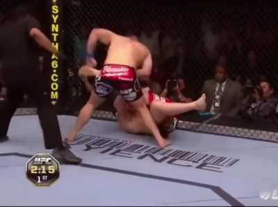 UFC 121: (C) LESNAR vs. VELASQUEZ