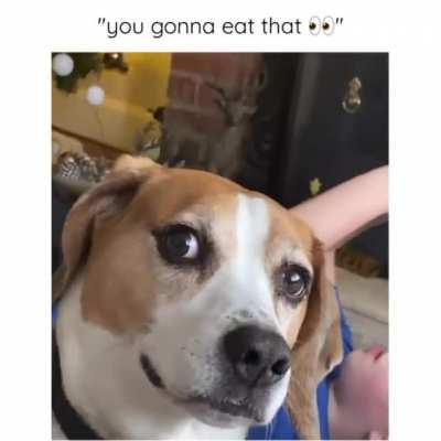 don't tell you gonna eat that?
