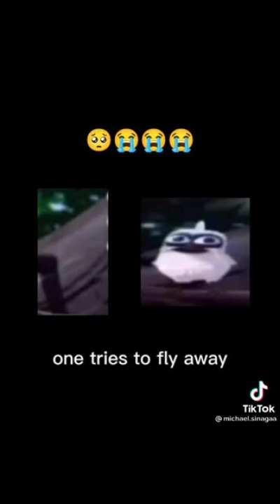 😭😭😭😭😔😔😔😔😔😔😔😭😭😭😭😭😭😭😱😱😱😱