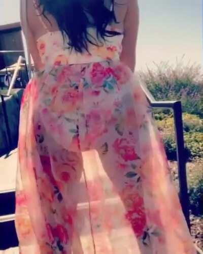 Brie Bella shaking her ass