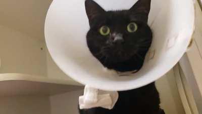 Behold this noisy lamp!