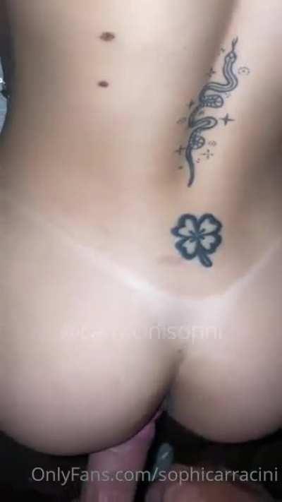 Sophia carracini 