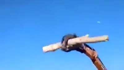 excavators in their natural habitats