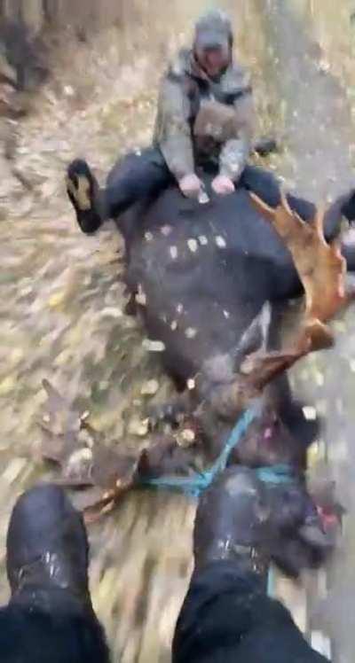 Can’t get anymore Canadian than this