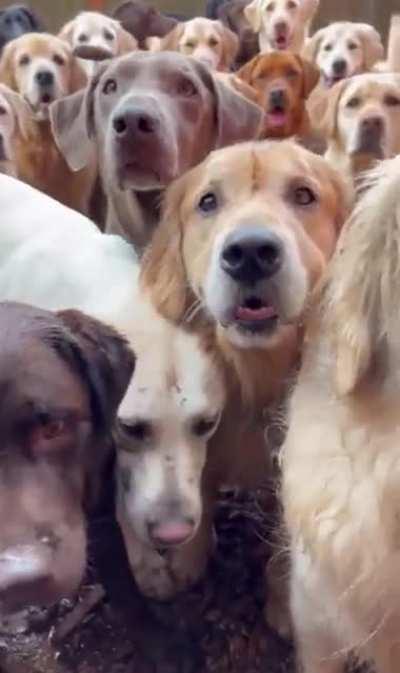 Is this what you see when you open the door to heaven?🥺🥺🥰