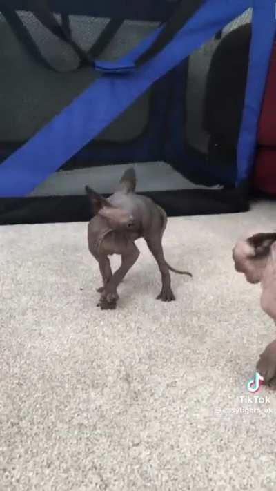 O povo da minha escola: