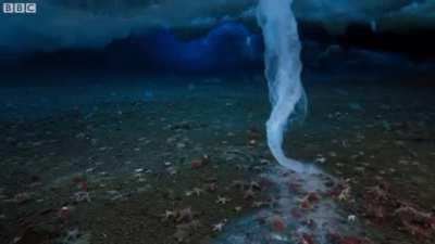 Brinicle formation, the 