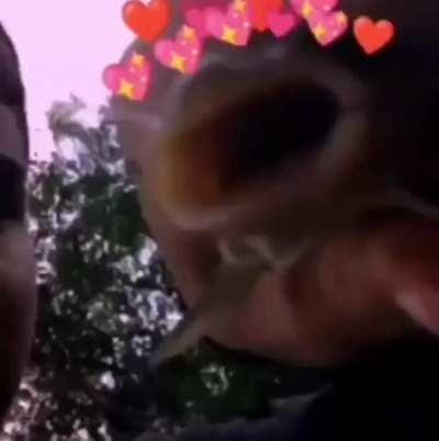 Beija ela bagre 😳