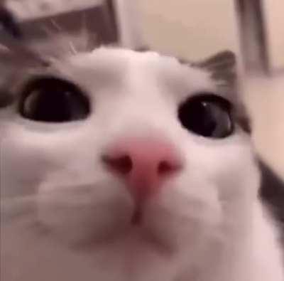 recuerda porque peleas...