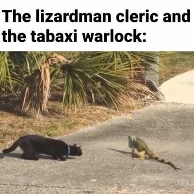 The end of the debate between the cleric and the warlock from my last session