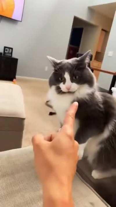 Ты на кого руку поднял?!