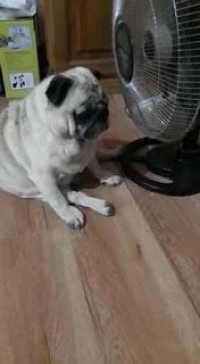 Combatiendo la ola de calor....