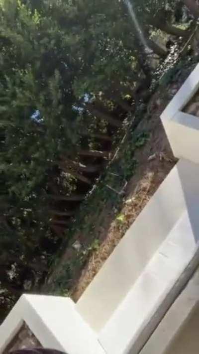 French asked her if she ready for the 