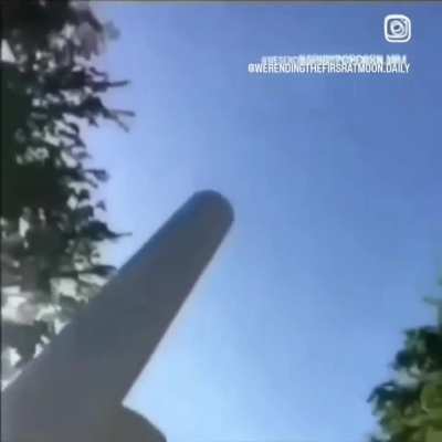 First rat to the moon