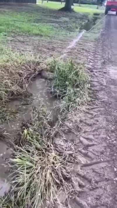 Biggest turd ever since lol