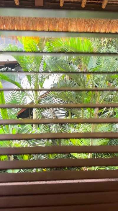 Screaming breathwork at yoga retreat